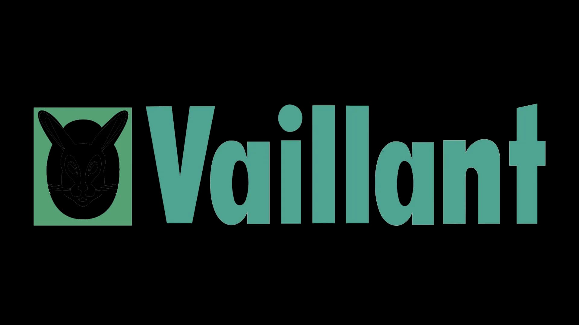 Vaillant