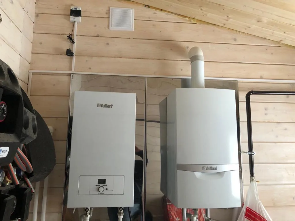 Рузский район, деревня Вишенки — миниатюра 5